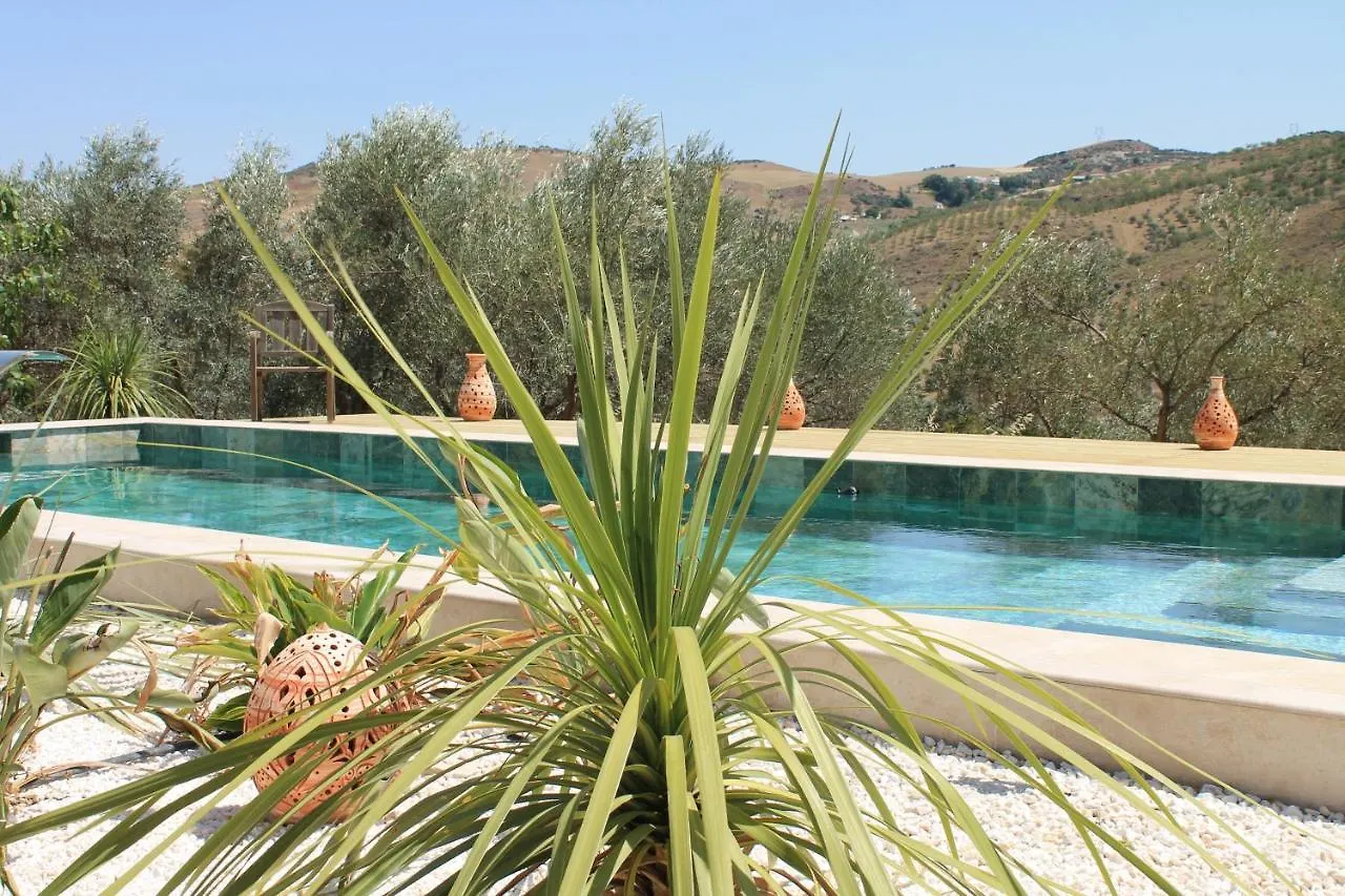 Guest house Finca Altozano - Private Pool - Unique Client Valle de Abdalagis