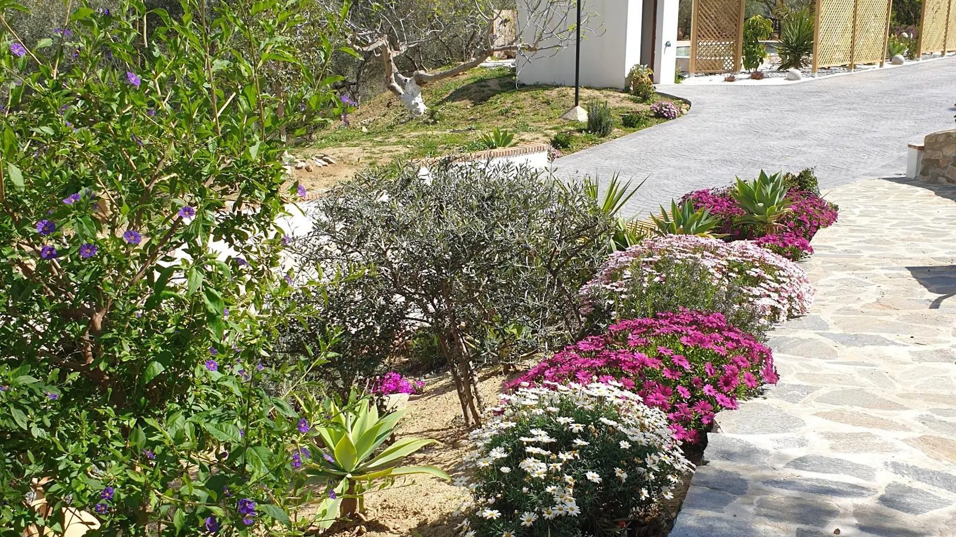 Guest house Finca Altozano - Private Pool - Unique Client Valle de Abdalagis